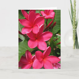 Anmerkungskarte - rosa Plumerias Karte