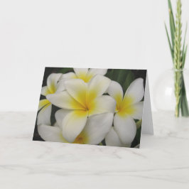 Anmerkungskarte - weiße Plumerias Karte