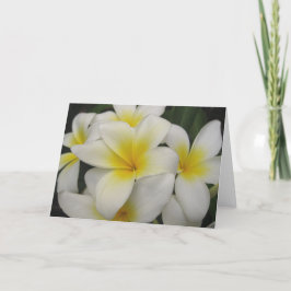 Anmerkungskarte - weiße Plumerias Karte