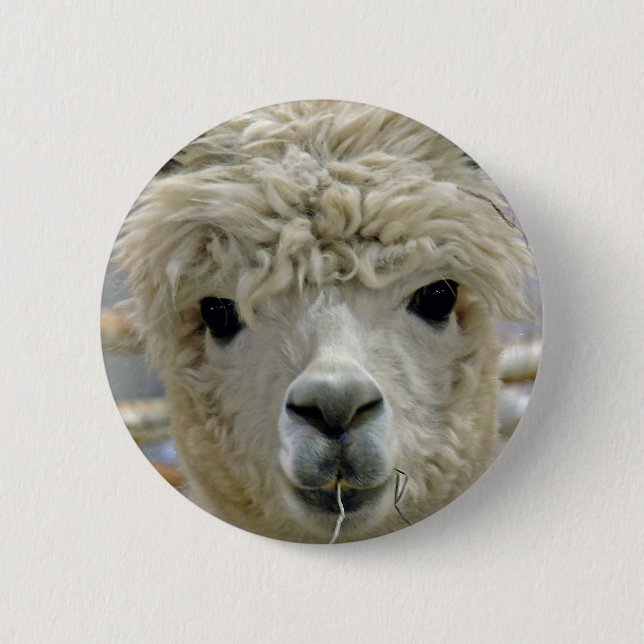 anmutig button (Vorderseite)
