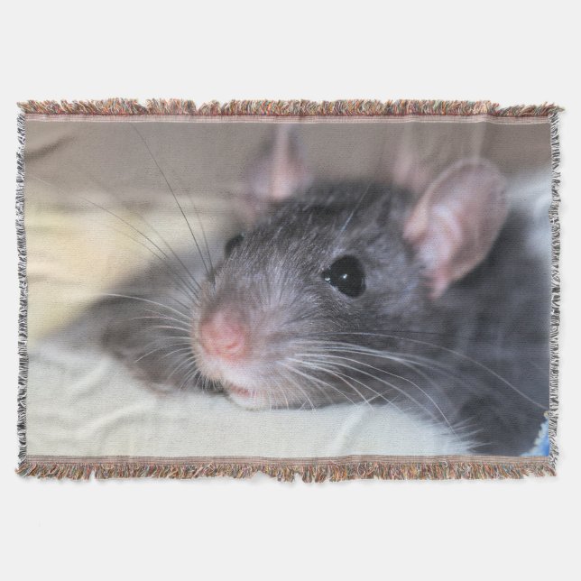 anmutig decke (Vorderseite)