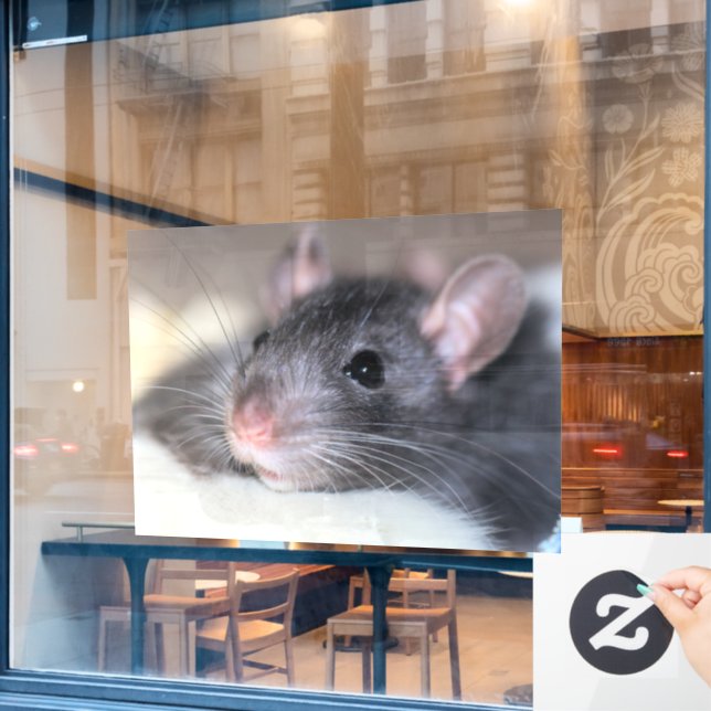 anmutig fensteraufkleber (Café-Fenster)