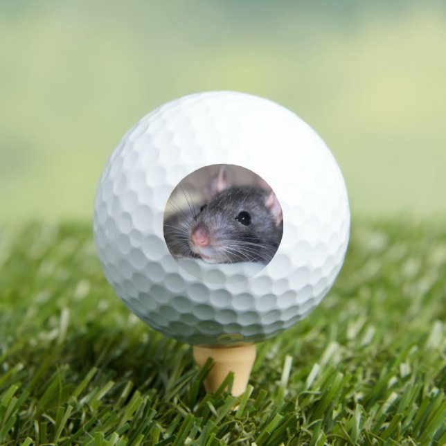 anmutig golfball (Insitu T-Shirt)