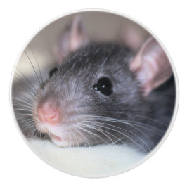 anmutig keramikknauf