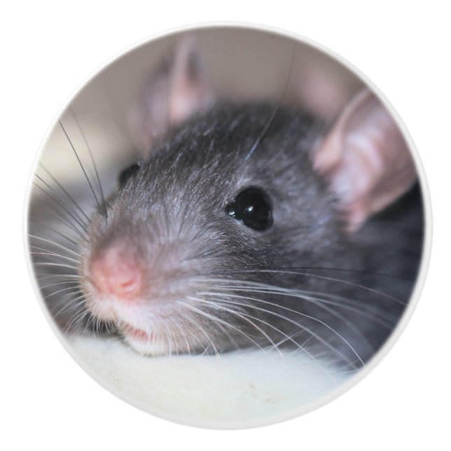 anmutig keramikknauf (Vorderseite)