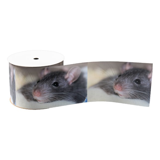 anmutig ripsband (Spule)