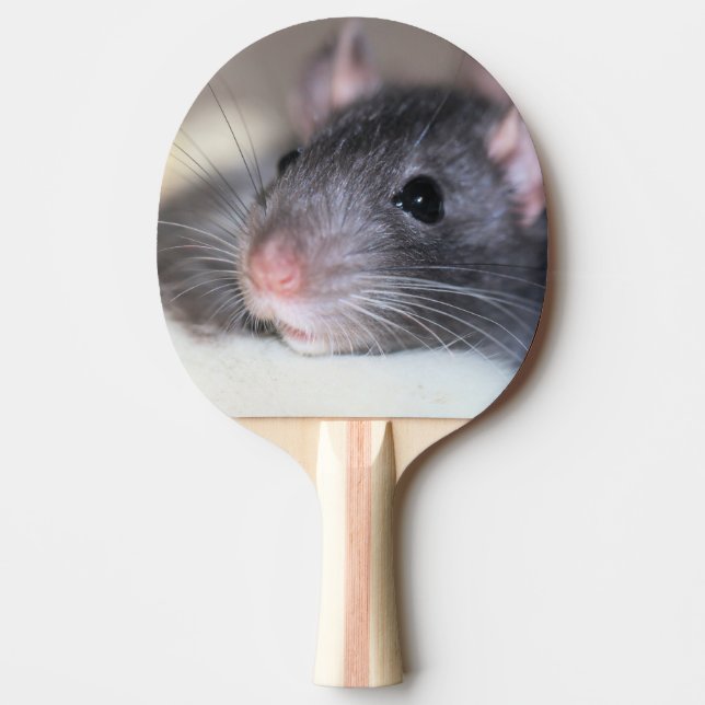 anmutig tischtennis schläger (Vorderseite)