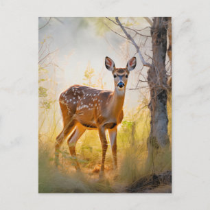 Anmutige Hirsche im Wald Naturdesign Postkarte