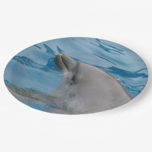 Anmutiger Delfin schwimmt in klarem blauem Wasser Pappteller