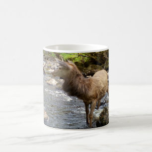 Anmutiger junger roter Hirsch im Hochland, Landsch Kaffeetasse