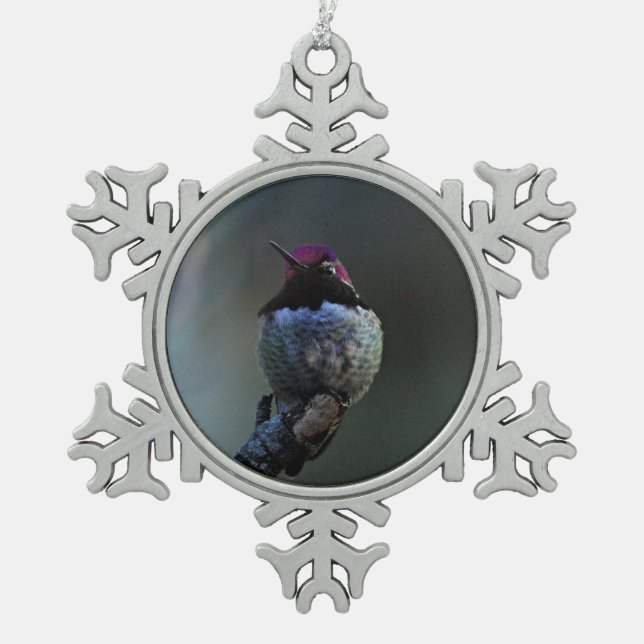 Anna Hummingbird Schneeflocken Zinn-Ornament (Vorderseite)
