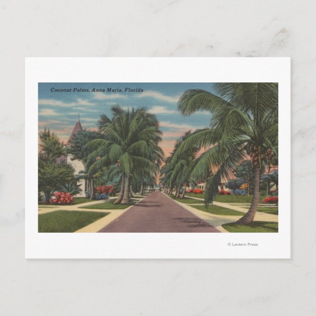 Anna Maria, Florida - Aussicht auf Palms entlang d Postkarte (Vorderseite)