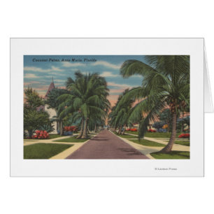 Anna Maria, la Floride - vue des paumes le long de