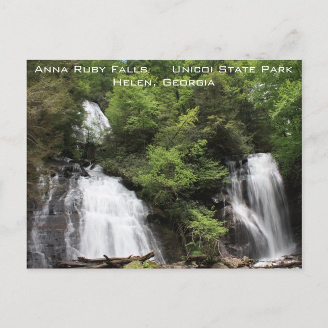 Anna Ruby Falls Postcard Postkarte (Vorderseite)