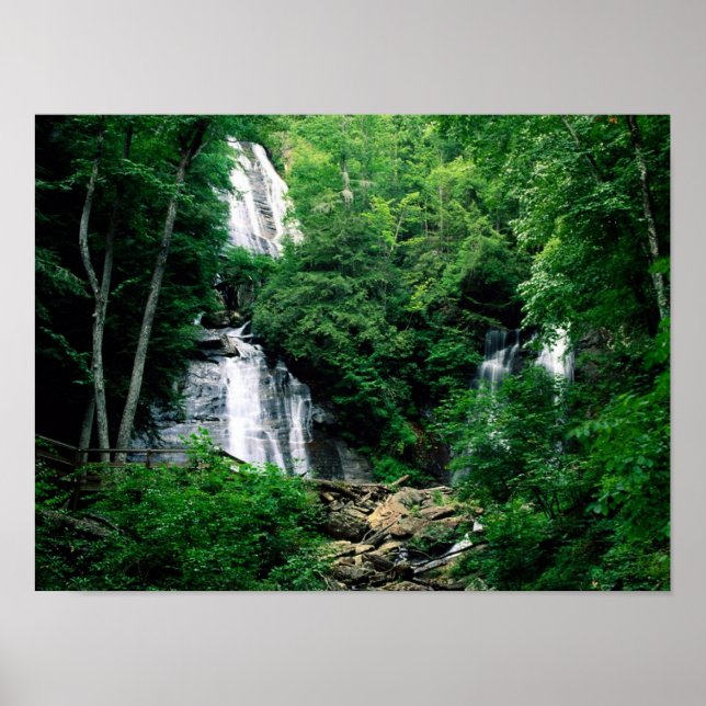 Anna Ruby Falls Poster (Vorne)