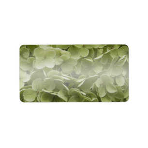 Annabelle Hydrangea Blume Adressaufkleber