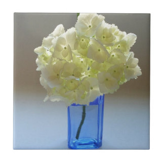 annabelle Hydrangea Fliese