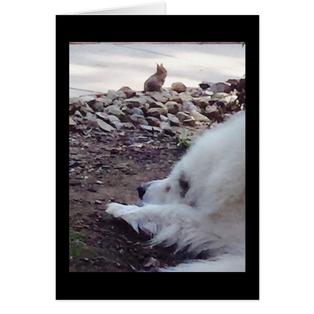 Annahmekarte (Vorne)