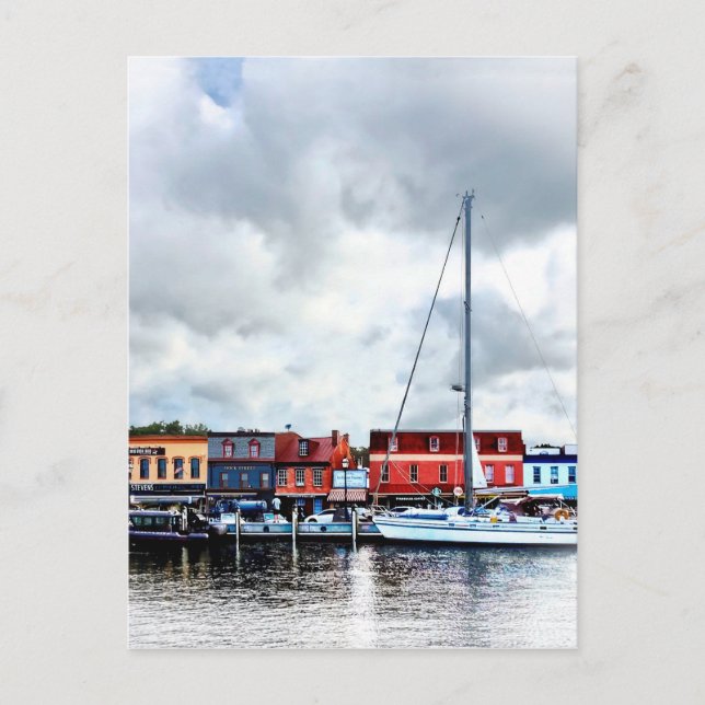 Annapolis Md - City Dock Postkarte (Vorderseite)