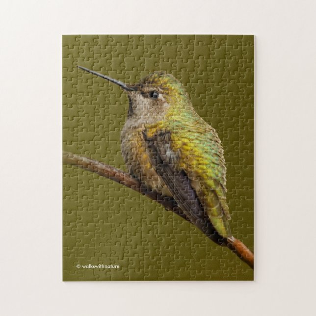 Anna's Hummingbird auf der Scarlet Trumpetvine (Vertikal)