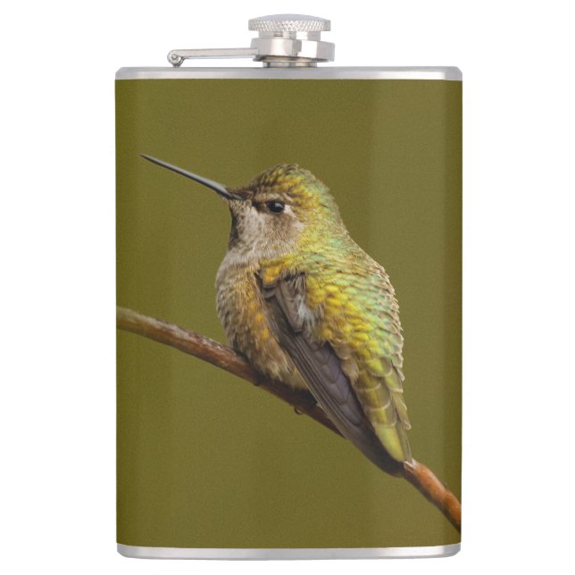 Anna's Hummingbird auf Scarlet Trumpetvine Flachmann (Vorderseite)