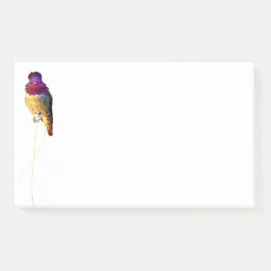Anna's Hummingbird Foto 10x6 Notepad Post-it Klebezettel