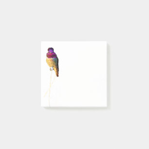 Anna's Hummingbird Foto 3x3 Notepad Post-it Klebezettel