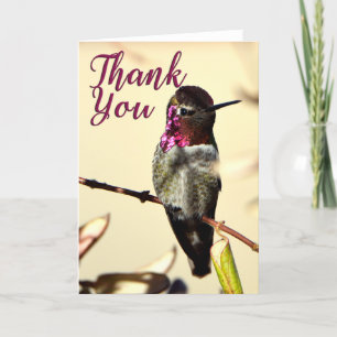 Anna's Hummingbird Foto Dankeschön Karte