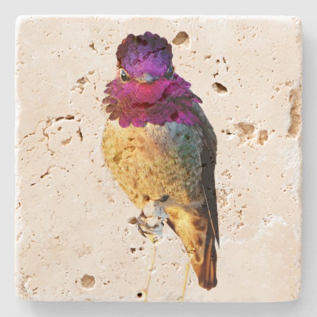 Anna's Hummingbird Pink Bird Photo Stone Coaster Steinuntersetzer (Vorderseite)