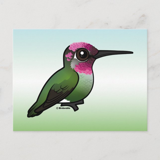 Anna's Hummingbird Postkarte (Vorderseite)