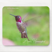 Annaskolibri