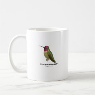 Annaskolibri - Vögel Kaliforniens Tasse