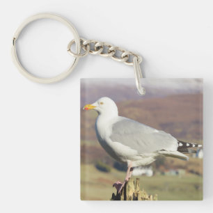 Anneau de clés Mouette Élégante Unique Debout Déta