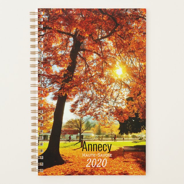 Annecy, Französische Alpen Planer (Vorderseite)