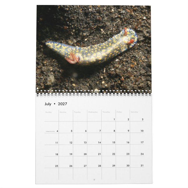 Année du calendrier Nudibranchs (Jul 2027)