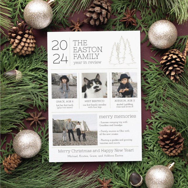 Année en revue Cartes photos de Noël de la famille (Créateur téléchargé)