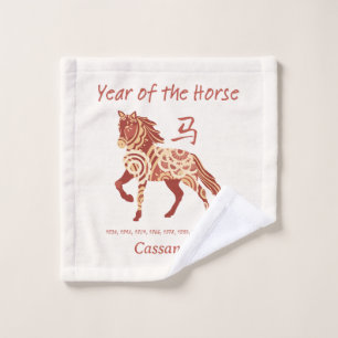 Année Zodiaque Chinoise Du Cheval Animal Signal