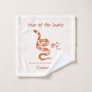 Année Zodiaque Chinoise Du Signe Animal Du Serpent