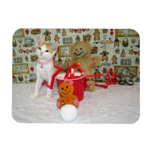 Annie Lebkuchen-Plätzchen (Katze/Kätzchen) Magnet