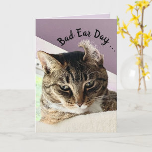 Annie's Bad Oar Day (Cat Greeting Card) Karte