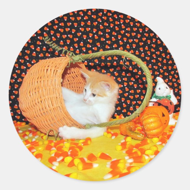 Annie's Basketful of Fun Cat Halloween Stickers (Vorderseite)