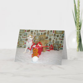 Annie's Cookie Cutters - Cat / Kitten Weihnachten