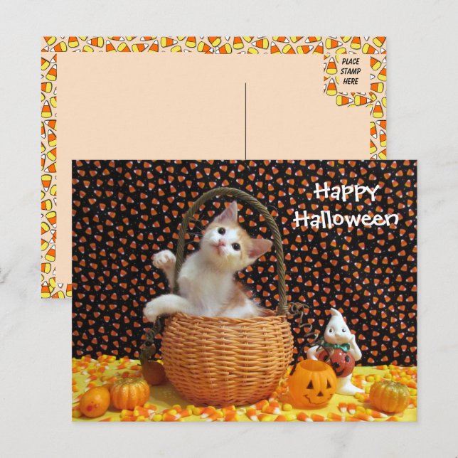 Annie's merkwürdige Halloween-Katze Postkarte (Vorne/Hinten)