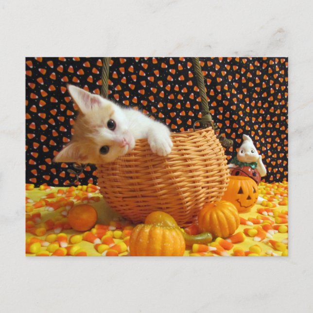 Annie's Sweet Halloween - Chat / Kitten carte post (Devant)