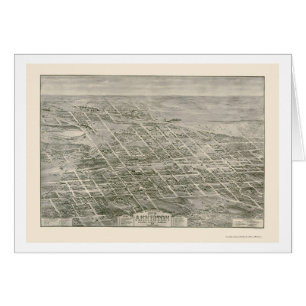 Anniston, carte panoramique d'AL - 1903