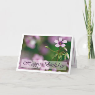 Anniversaire - carte de voeux rose d'oxalide