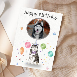 Anniversaire de fête Husky Sibir Chien Carte d'ani