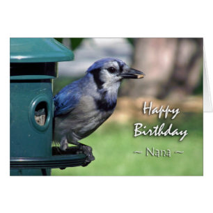 Anniversaire de Nana Blue Jay sur Bird Feeder