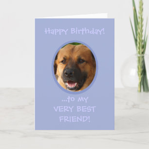 Anniversaire Drôle Du Chien Au Propriétaire Carte 
