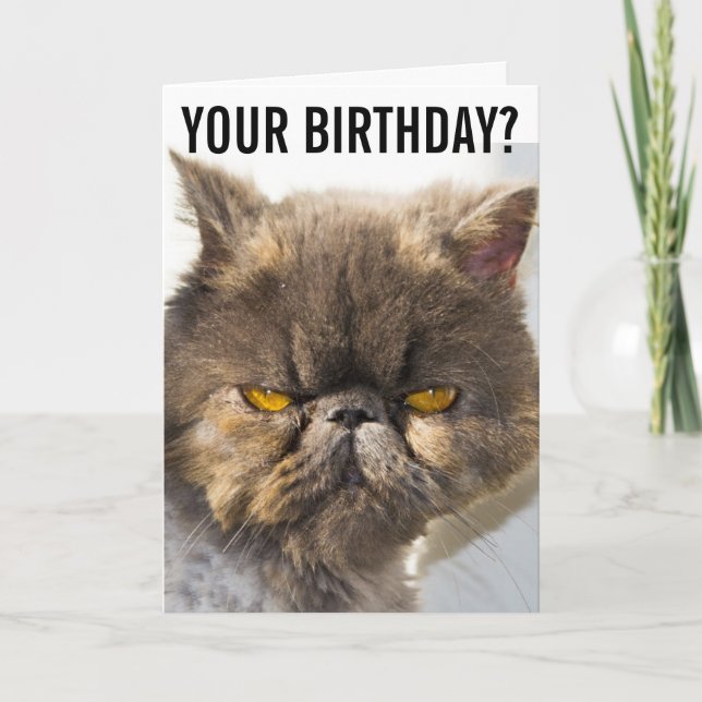 ANNIVERSAIRE GRUMPY PERSIAN CAT FUNNY Carte de voe (Devant)